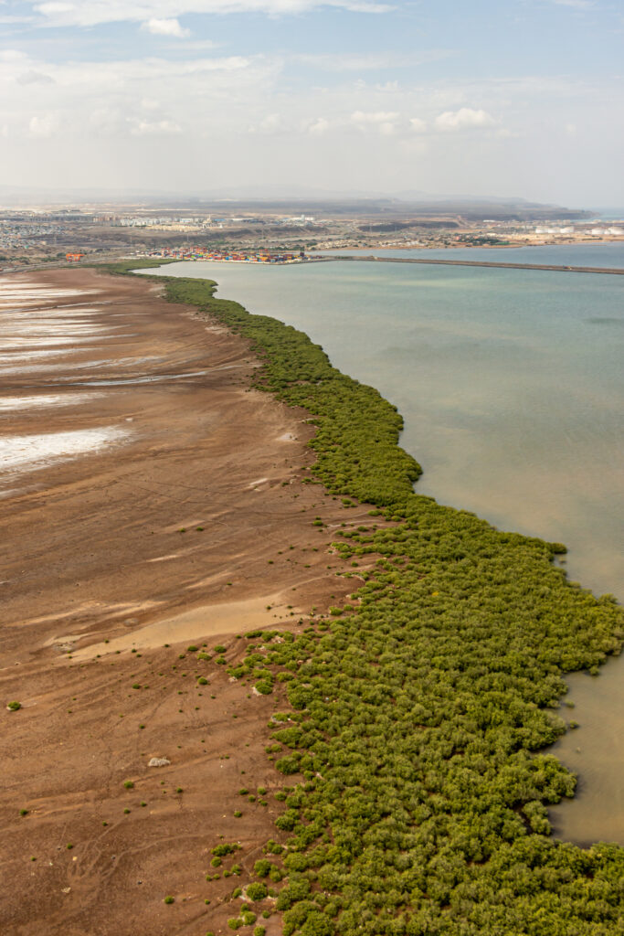 Tales of the Djibouti By Camille Massida